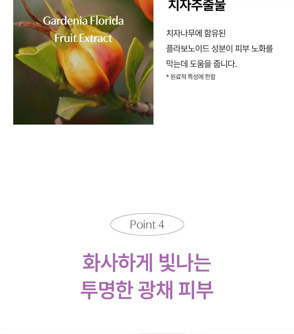 [탄력리프팅 겔팩] 러븀 슬로우 에이징 피토 콜라겐 겔 마스크 5매 상세페이지 20
